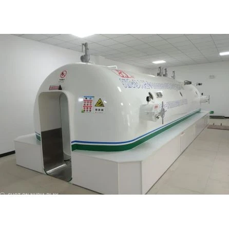 Round Bottom Multiplace Air Compression Chamber factory
